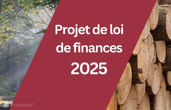 L’examen en première lecture du projet de loi de finances pour 2025 a débuté à l’Assemblée nationale (illustration: droits réservés)