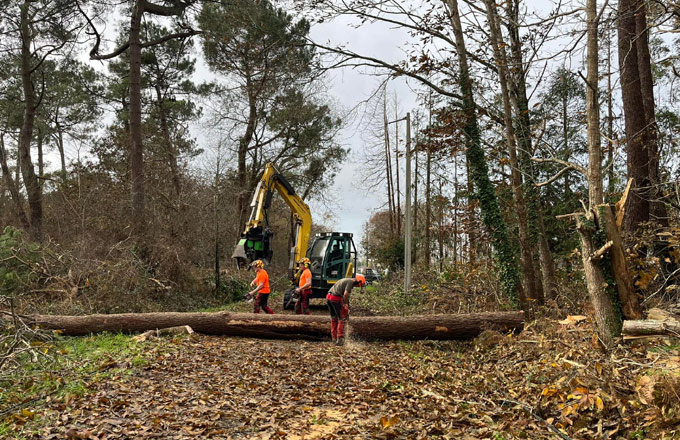 Chantier forestier, en Bretagne, après la tempête Ciaran qui a touché le nord-ouest de la France, en novembre 2023 (crédit photo: ETF Dieudonné)