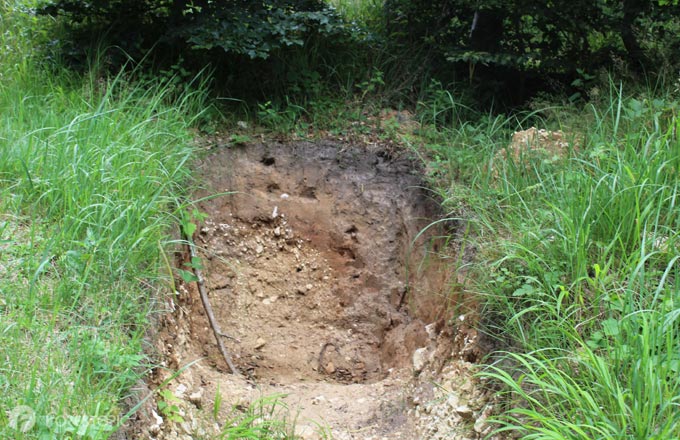 Fosse pédologique en forêt de Chantilly (crédit photo: CC/Forestopic)