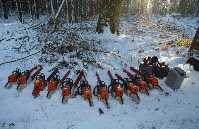 Chantier forestier-école (crédit photo: EPLEFPA de la nature et de la forêt)