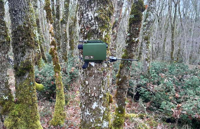 Magnétophone installé au sein de la réserve biologique intégrale de Campagne, en Dordogne (crédit photo: David Setau/ONF)