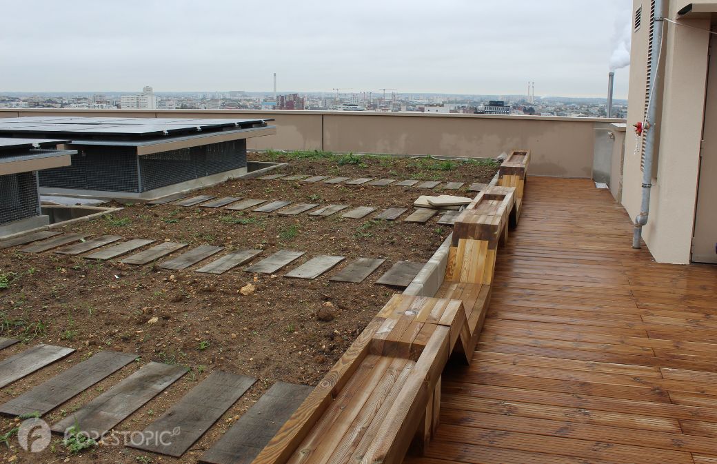 Toiture-terrasse de Wood Up (crédit photo: CC/Forestopic)