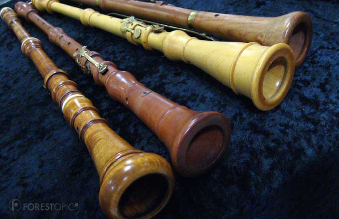 instrument musique en bois