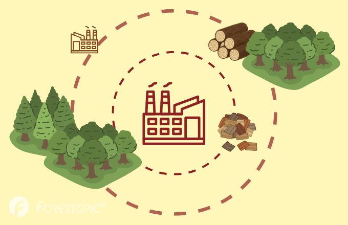 Les plans d’approvisionnement ont à tenir compte de la disponibilité de la ressource et de l’«articulation des usages» de la biomasse (illustration Forestopic)