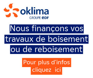 Oklima finance des travaux de boisement ou reboisement