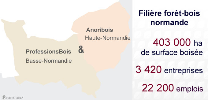 Chiffres clés sur la filière forêt-bois en Normandie