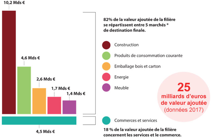 La filière forêt-bois clarifie son poids économique avec de nouveaux indicateurs