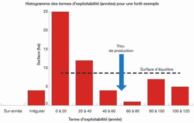 Histogramme des classes d’âges par type de peuplement. L’histogramme d’une forêt exemple montre une surface à terme sur les 20 prochaines années de 25 hectares – nettement supérieure à l’équilibre entre production biologique et récolte de bois – et un trou de production dans 60 ans.