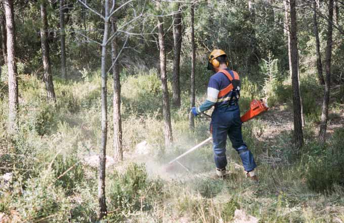 Il n’y a pas de saison particulière pour débroussailler en périphérie des habitations, mais il est préférable de le faire en automne ou en hiver, saisons a priori les moins à risques d’incendie (crédit photo: Louis-Michel Duhen)