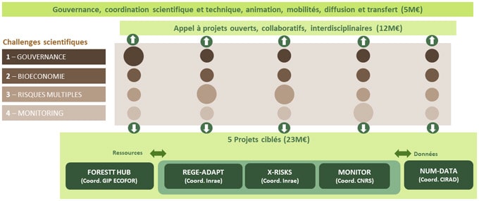 Architecture du programme et équipement prioritaire de recherche PEPR Forestt (crédit: Christophe Plomion)