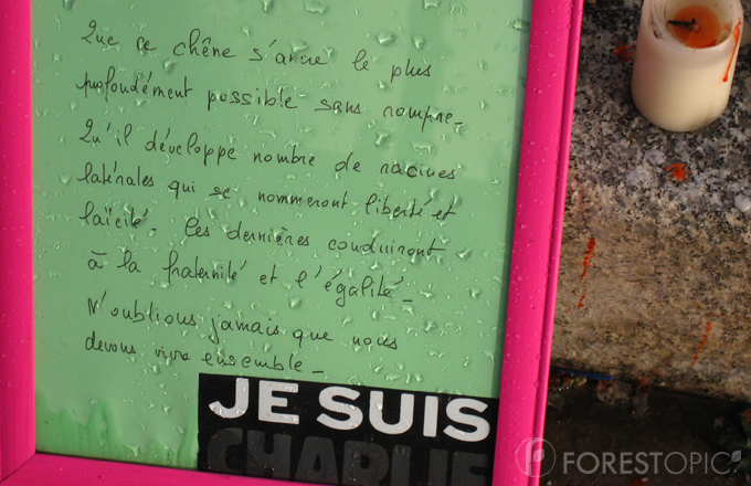 Poème au pied du chêne parisien (photo Forestopic)