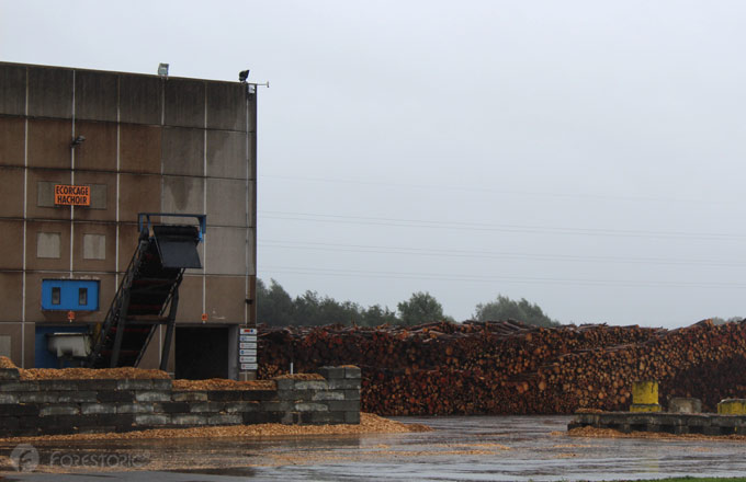 Pour alimenter l’usine ardennaise, les grumes et les connexes de scierie se voient complétés par du bois de recyclage (crédit photo: CC/Forestopic)