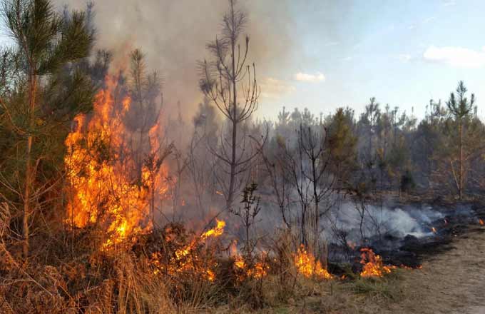 Les rapporteurs s’alarment de l’évolution du risque incendie (photo: droits réservés)