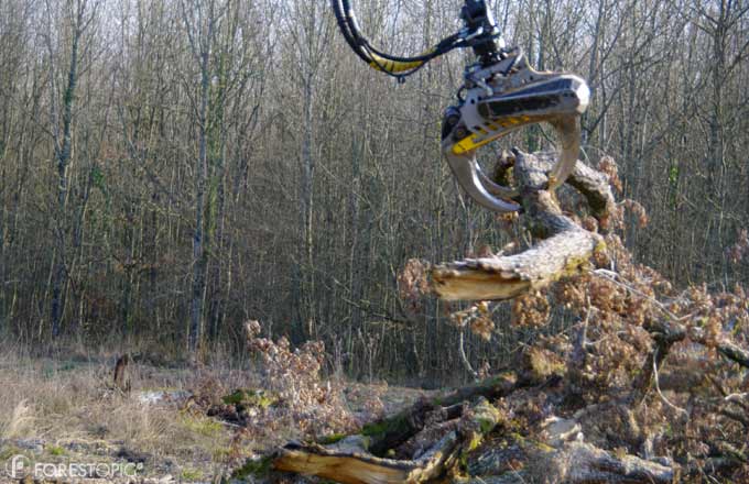 la coopérative forestière CFBL, maison mère de Mecafor, entend sécuriser l’ensemble de ses sites (photo: chantier forestier en Bourgogne-Franche-Comté. Crédit: CC/Forestopic)