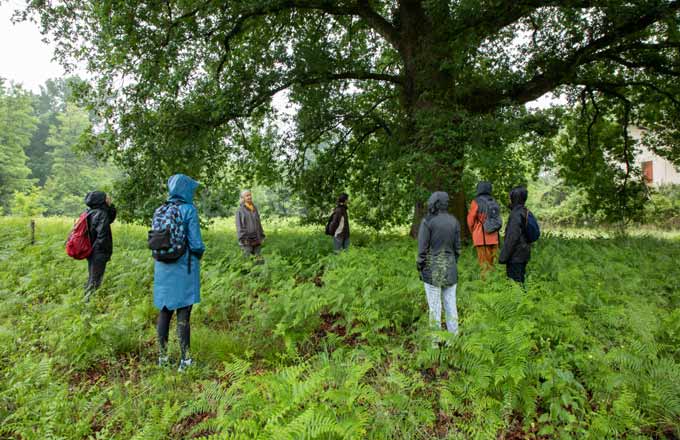 Bain de forêt organisé par le département de la Gironde (crédit photo: Sandrine Koeune)