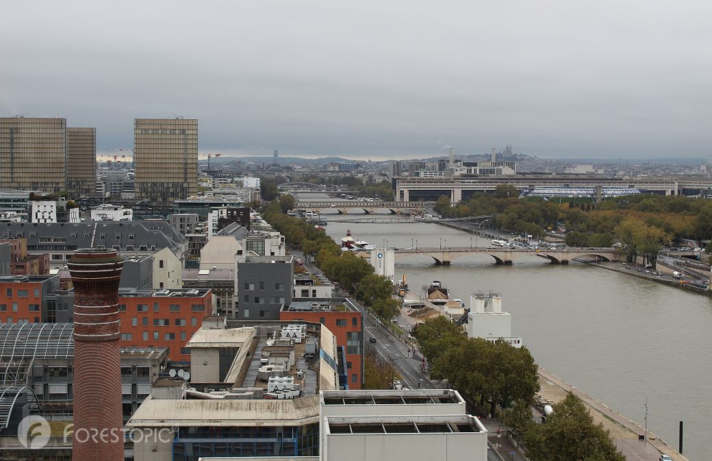 Vue sur Paris depuis la toiture-terrasse ou rooftop de Wood Up (crédit photo: CC/Forestopic)