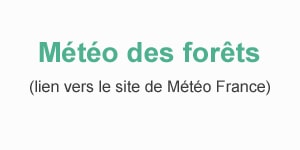 Météo des forêts