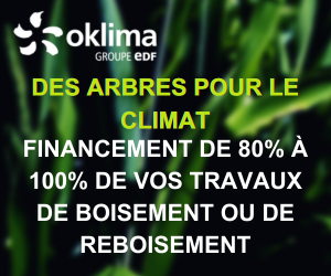 Oklima finance des travaux de boisement ou reboisement