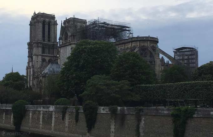 75-Notre-Dame-Paris-20190423